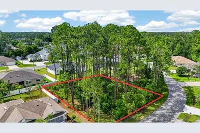 46 Evans Drive, Palm Coast, FL 32164 - Photo 12