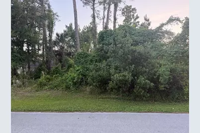 41 Woodlyn Lane, Palm Coast, FL 32164 - Photo 1