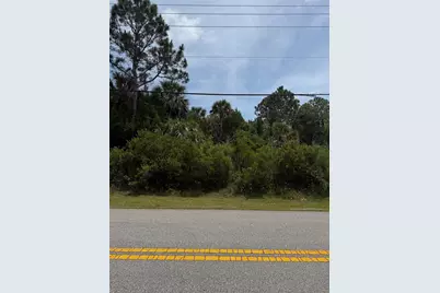 174 Bird Of Paradise Drive, Palm Coast, FL 32137 - Photo 4