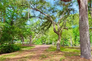2905 Creek St, Middleburg, FL 32068 - Photo 1