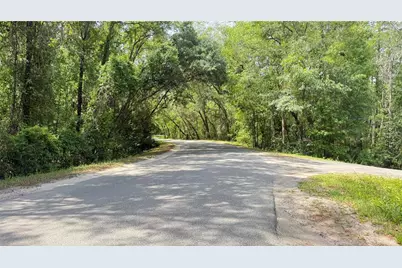 2905 Creek Street, Middleburg, FL 32068 - Photo 36
