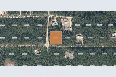 Xx Blossom, Florahome, FL 32140 - Photo 2