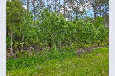9152 U S Highway 1, Saint Augustine, FL 32086 - Photo 4