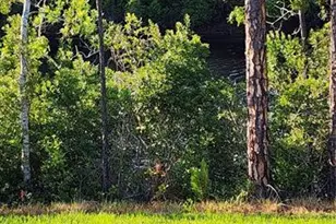 79 Pepperdine Dr, Palm Coast, FL 32164 - Photo 20