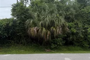 15 Pepper Ln, Palm Coast, FL 32164 - Photo 1