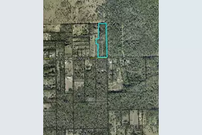 459 County Road 2006 E, Bunnell, FL 32110 - Photo 4