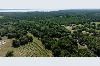 374 Sisco Road, Pomona Park, FL 32181 - Photo 30