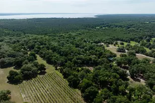 374 Sisco Rd, Pomona Park, FL 32181 - Photo 30