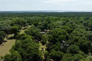 374 Sisco Rd, Pomona Park, FL 32181 - Photo 36