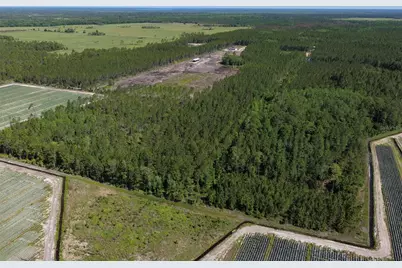15539 County Rd 305, Bunnell, FL 32110 - Photo 18