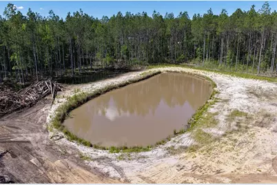 15539 County Rd 305, Bunnell, FL 32110 - Photo 4