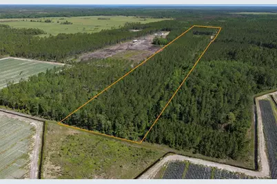 15539 County Rd 305, Bunnell, FL 32110 - Photo 2