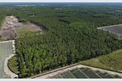 15539 County Rd 305, Bunnell, FL 32110 - Photo 26