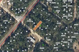 Xx SE 4th St, Interlachen, FL 32148 - Photo 1