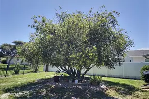 34 Felter Ln, Palm Coast, FL 32137 - Photo 8