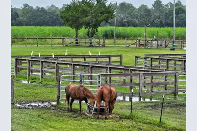 596 E County Road 90, Bunnell, FL 32110 - Photo 16