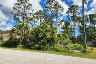 5 Rainbrook Dr, Palm Coast, FL 32164 - Photo 1