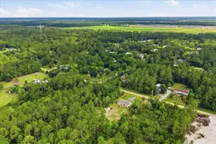 4365 Gladys St, Hastings, FL 32145 - Photo 42