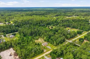 4365 Gladys St, Hastings, FL 32145 - Photo 40