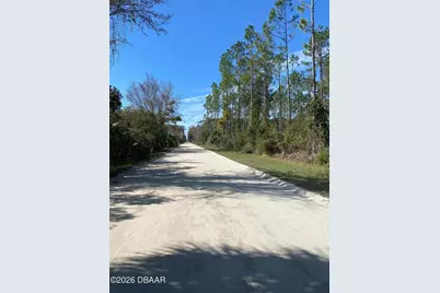 820 Old Bubbly Road, Pierson, FL 32180 - Photo 6