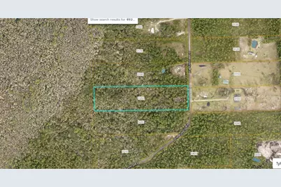 820 Old Bubbly Road, Pierson, FL 32180 - Photo 8