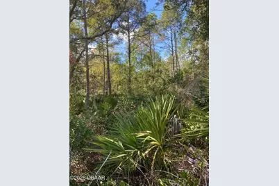 820 Old Bubbly Road, Pierson, FL 32180 - Photo 2