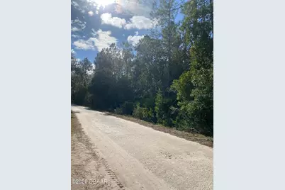 820 Old Bubbly Road, Pierson, FL 32180 - Photo 4