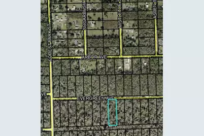 3741 Evergreen Avenue, Bunnell, FL 32110 - Photo 2