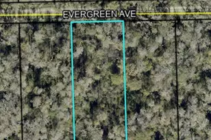 3741 Evergreen Ave, Bunnell, FL 32110 - Photo 1