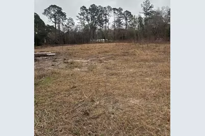 9600 Light Avenue, Hastings, FL 32145 - Photo 12