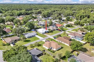 9 Blackberry Pl, Palm Coast, FL 32137 - Photo 42