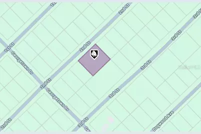 207 SE 2nd Street, Georgetown, FL 32139 - Photo 2