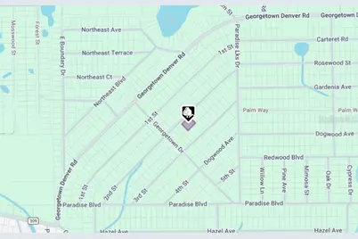 207 SE 2nd Street, Georgetown, FL 32139 - Photo 4