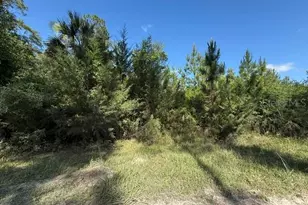County Road 75, Bunnell, FL 32110 - Photo 1