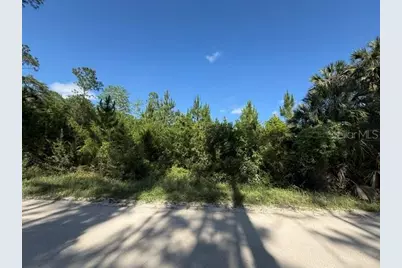 County Road 75, Bunnell, FL 32110 - Photo 8