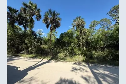 County Road 75, Bunnell, FL 32110 - Photo 2