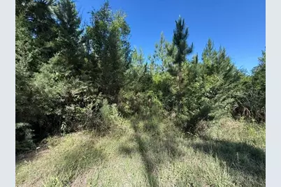 County Road 75, Bunnell, FL 32110 - Photo 4