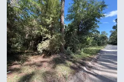County Road 75, Bunnell, FL 32110 - Photo 6