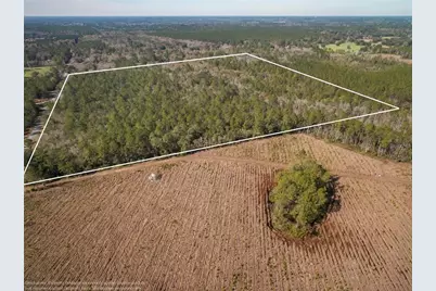 Xxxx Weeks Lane, Lake City, FL 32025 - Photo 10