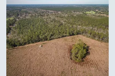 Xxxx Weeks Lane, Lake City, FL 32025 - Photo 8