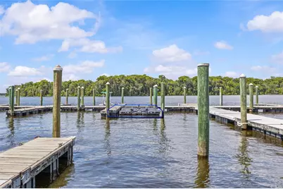 99 Broad River Place #3206, Welaka, FL 32193 - Photo 34