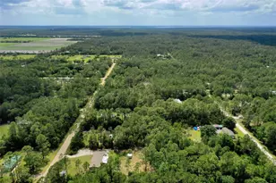 4162 Acorn Ave, Bunnell, FL 32110 - Photo 52