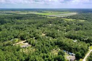 4162 Acorn Ave, Bunnell, FL 32110 - Photo 50