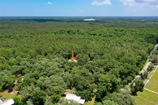 3296 N Old Dixie Hwy, Bunnell, FL 32110 - Photo 52