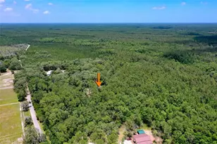 3296 N Old Dixie Hwy, Bunnell, FL 32110 - Photo 58