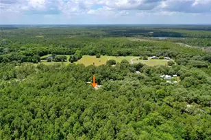 3296 N Old Dixie Hwy, Bunnell, FL 32110 - Photo 56
