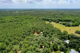 3296 N Old Dixie Hwy, Bunnell, FL 32110 - Photo 54