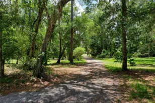 3296 N Old Dixie Hwy, Bunnell, FL 32110 - Photo 62