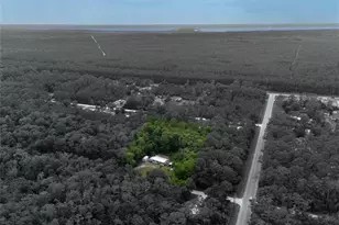 1528 Coconut Blvd, Bunnell, FL 32110 - Photo 4