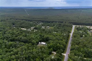 1528 Coconut Blvd, Bunnell, FL 32110 - Photo 4